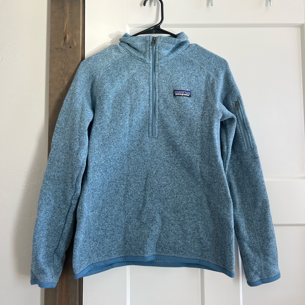 Patagonia Blue Pullover Fleece